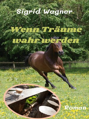cover image of Wenn Träume wahr werden